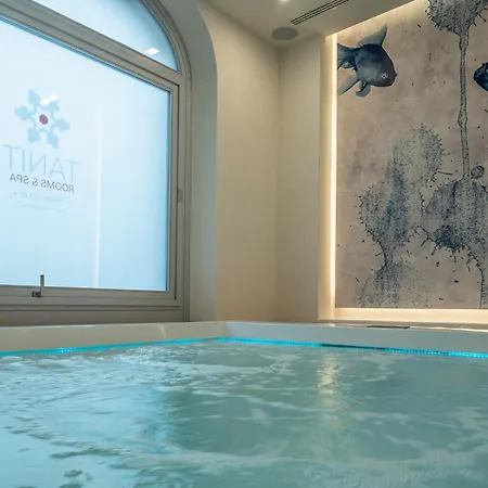 Tanit & Spa 빌라시미우스